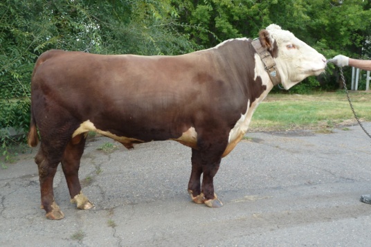 СТЕНЛИ 7129 КСВ-156